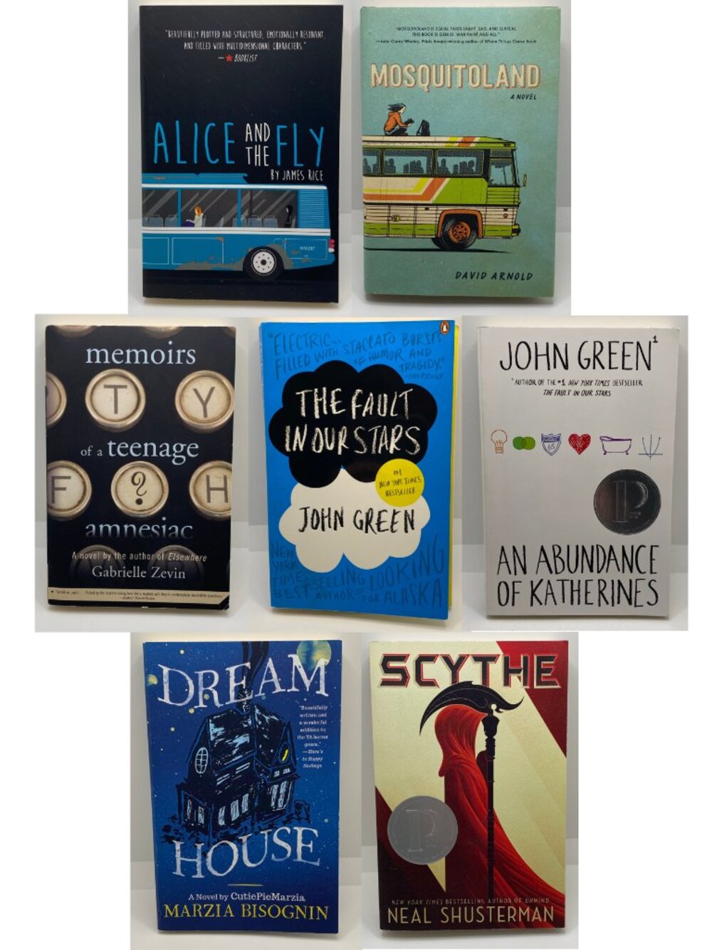 Lot of 7 YA Teen Fiction Books John Green Gabrielle Zevin 2010s